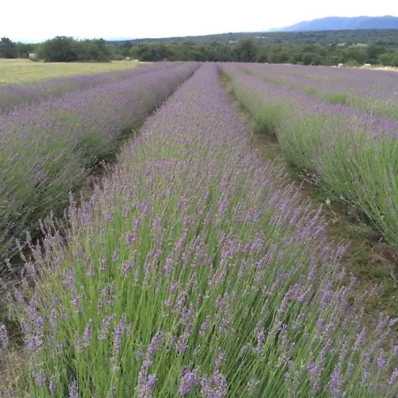Lavanda In Kriz - Semesterbostad