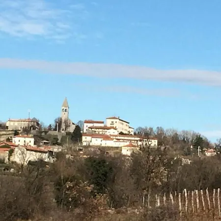Lavanda In Kriz - * Sežana
